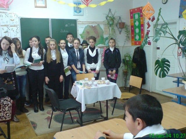 Scoala Dimitrie Romanescu Dorohoi (8)