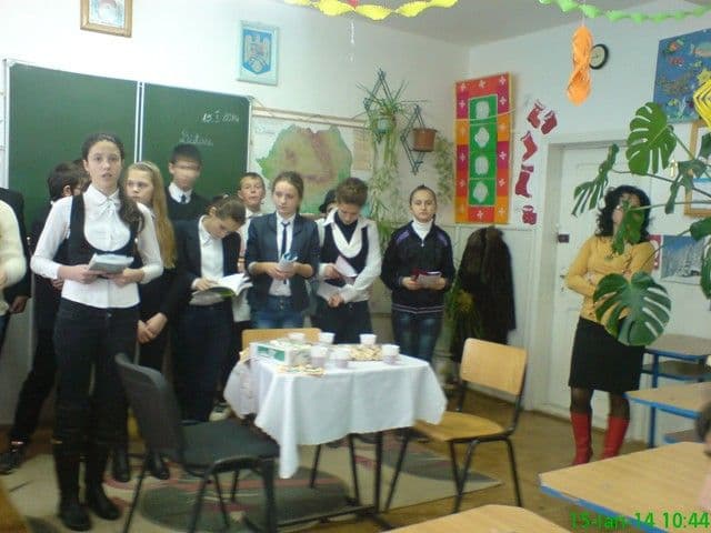 Scoala Dimitrie Romanescu Dorohoi (9)