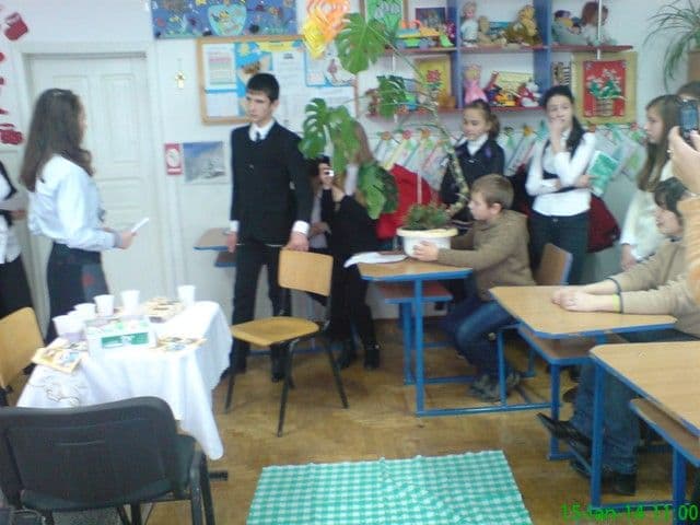 Scoala Dimitrie Romanescu Dorohoi (13)
