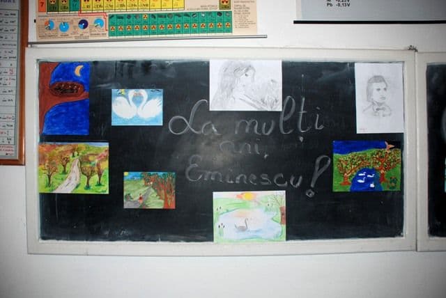 Scoala Al. I. Cuza Dorohoi (16)