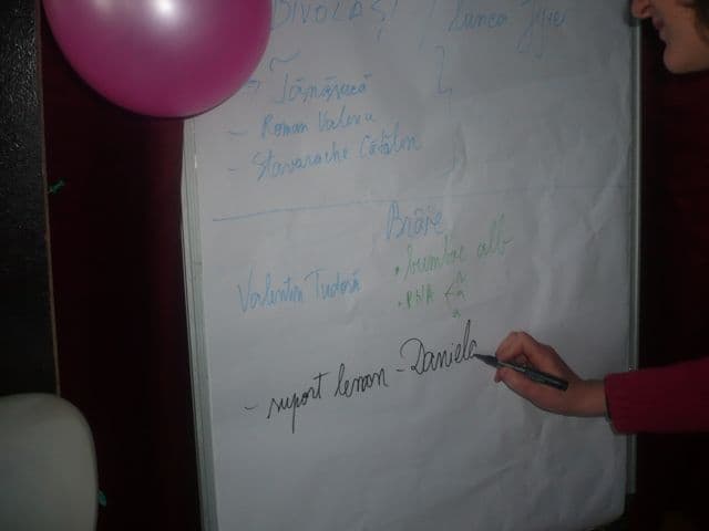 scoala Hiliseu Crisan (14)