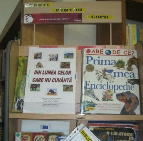 Dorohoi activitate biblioteca 26 februarie (14)