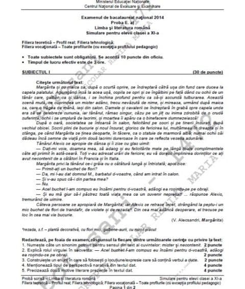 Simulare BAC_Clasa XI_tehnologic_pag1