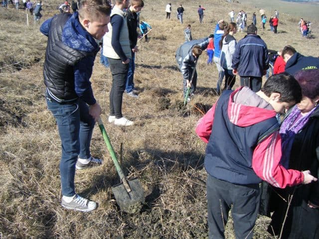 elevi Al. Vlahuta Sendriceni (6)