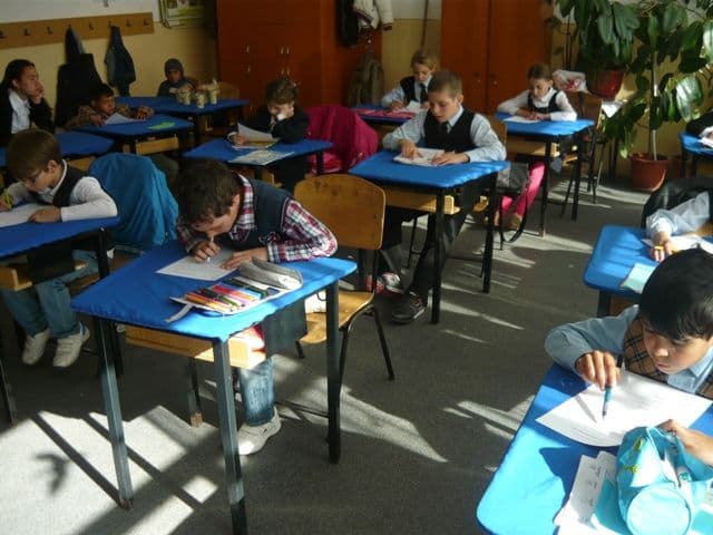 coala Ștefan cel Mare Dorohoi (14)