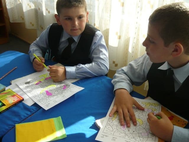 coala Ștefan cel Mare Dorohoi (15)