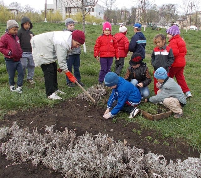 Activitati Scoala Stefan cel Mare Dorohoi_01