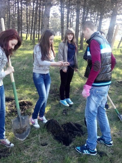 Scoala Altfel, Regina Maria, Dorohoi_11