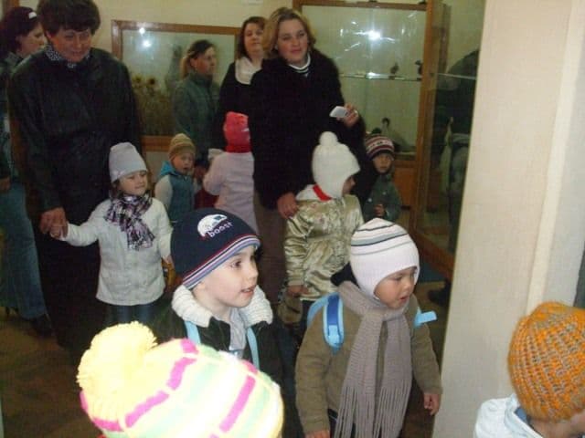 Gradinita Broscauti (4)