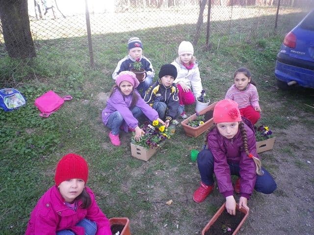 Scoala Gimnaziala Ioan Murariu Cristinesti016