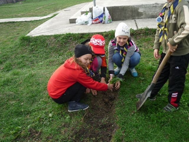 Sa invatam de la natura (3)
