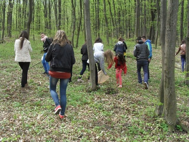 Colegiul National Grigore Ghica Dorohoi011