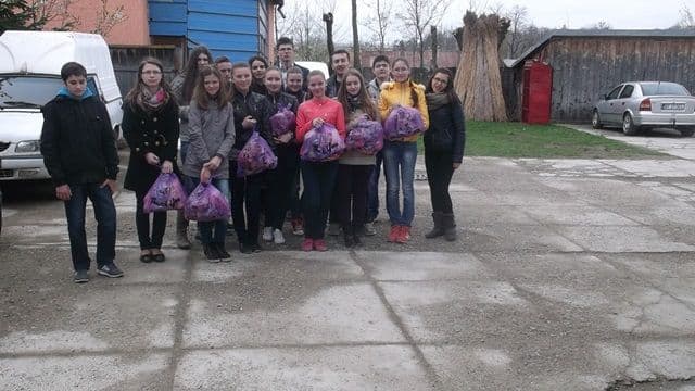 Colegiul National Grigore Ghica Dorohoi010
