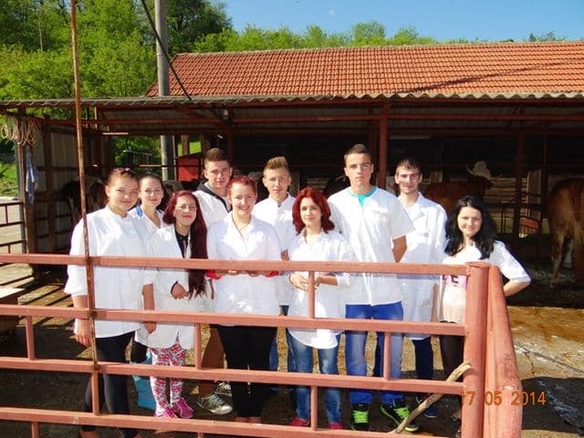 LTAVS_ZPD2014_049