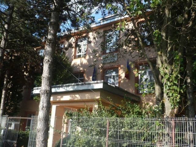Scoala Dimitrie Romanescu Broscauti