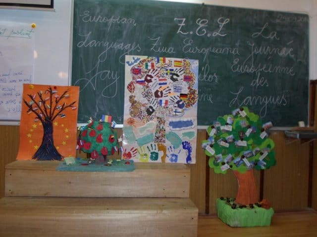 Scoala Gimnaziala Mihail Kogalniceanu Dorohoi (15)