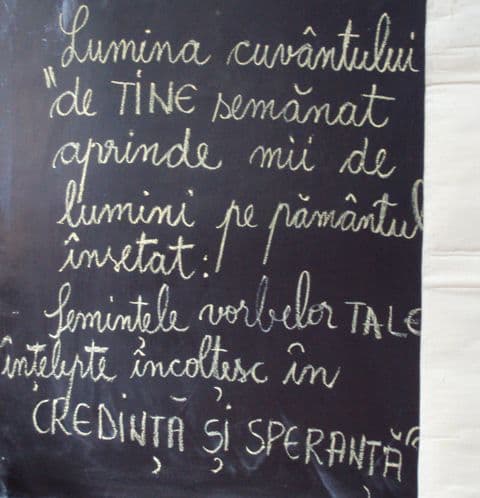 scoala Gimnaziala Dimitrie Pompeiu Broscauti (7)