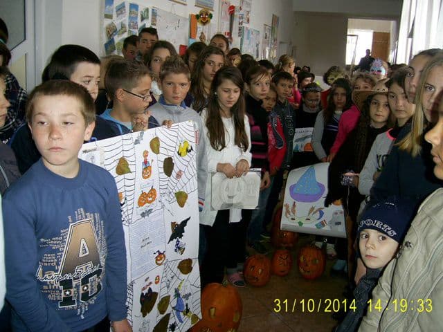 Scoala Broscauti (8)