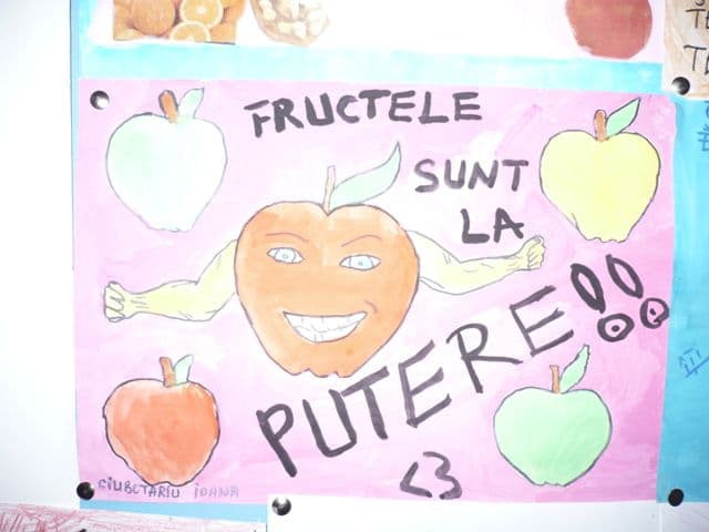 elevi Radaut Prut (5)
