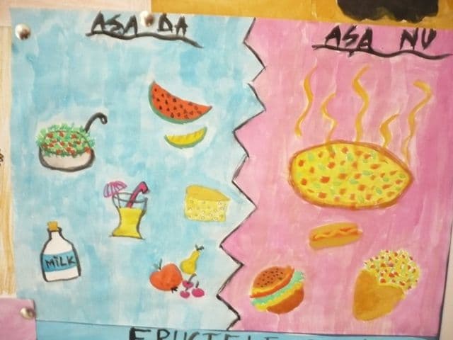 elevi Radaut Prut (7)