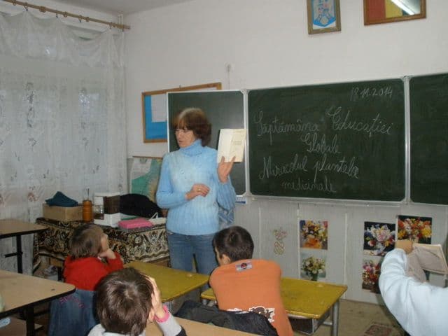 Liceul Ion Pillat (2)