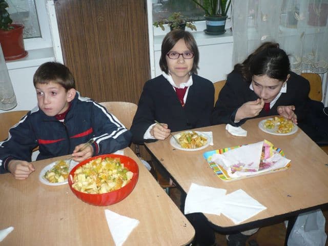 Scoala Spiru Haret  Dorohoi (8)