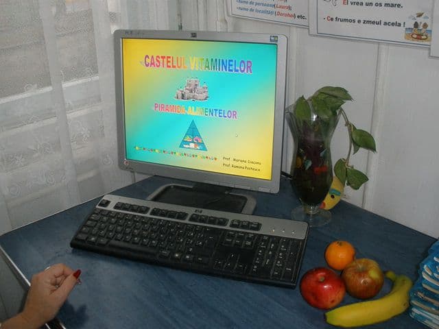 Dorohoi Ion Pillat saptamana educatiei02