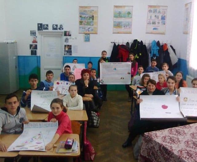 Dorohoi Scoala Dimitrie Romanescu 01