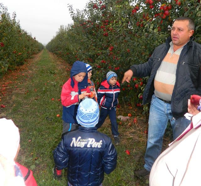 Dorohoi Gradinita Alba ca Zapada 07
