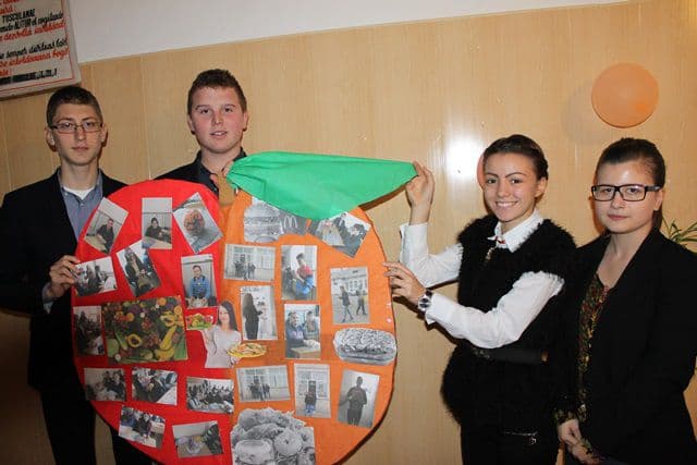 Dorohoi Colegiul Grigore Ghica 01