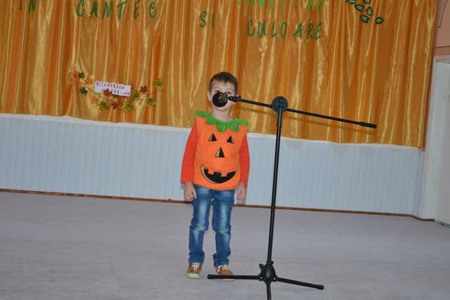 Festival Concurs Judetean Gradinita cu P.P. nr.8 Dorohoi_01