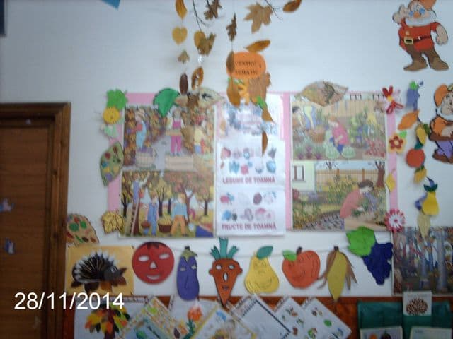 cerc pedagogic Hiliseu Closca (3)