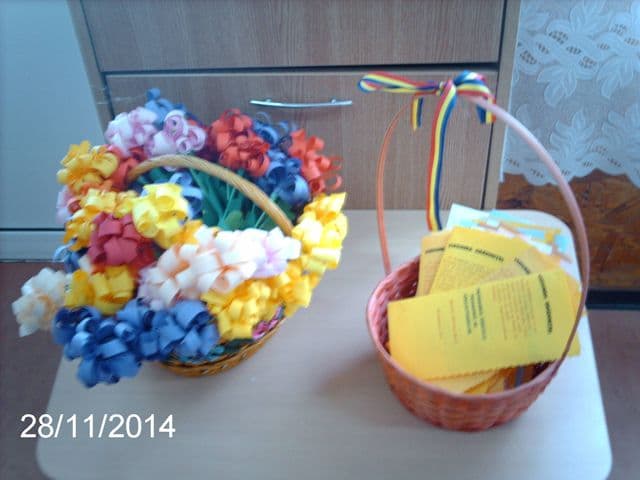 cerc pedagogic Hiliseu Closca (4)