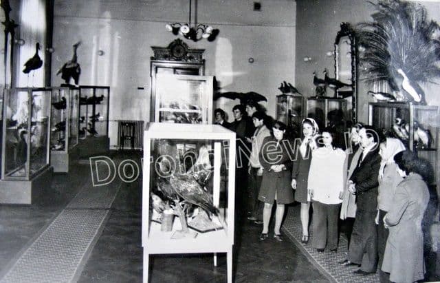 Foto 12
