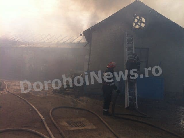 Incendiu grav anexa Dorohoi_03