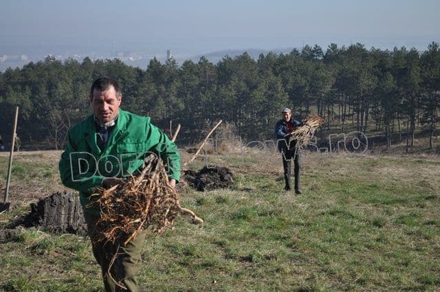 Romania prinde radacini la Dorohoi - 2014_06
