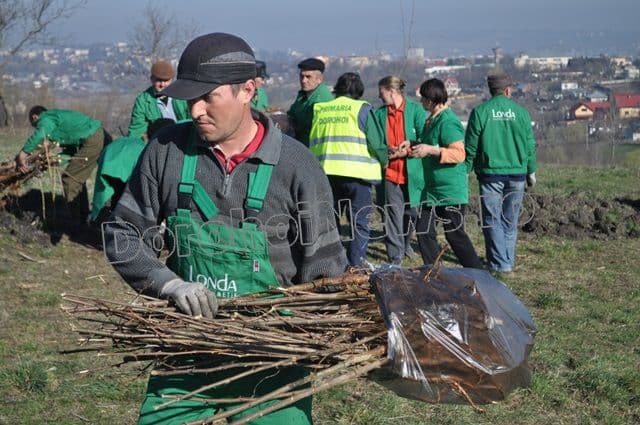 Romania prinde radacini la Dorohoi - 2014_08