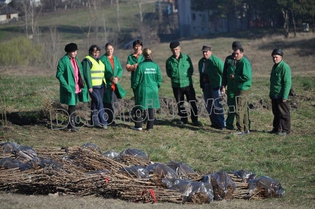 Romania prinde radacini la Dorohoi - 2014_14