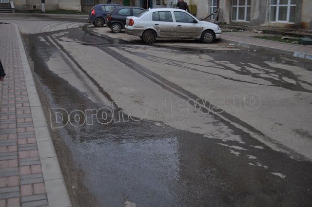 Dorohoi_Aleea Criva_11