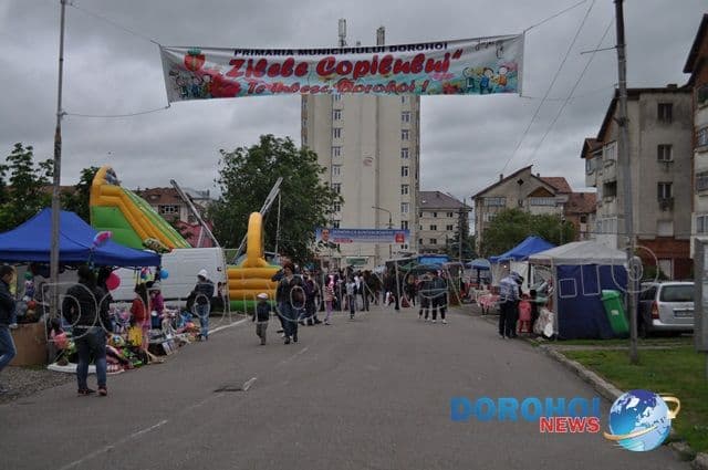 Zilele Copilului Dorohoi 2014_a doua zi_24