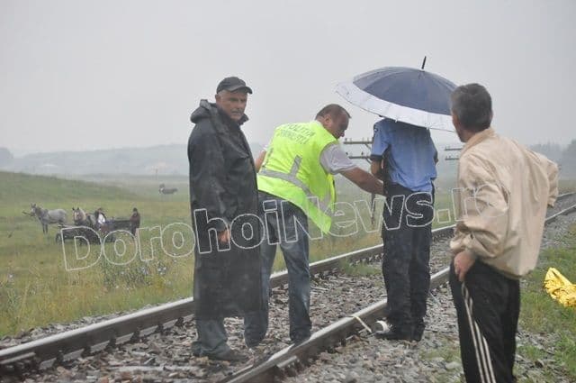 Copil calcat de tren, Dimacheni_01