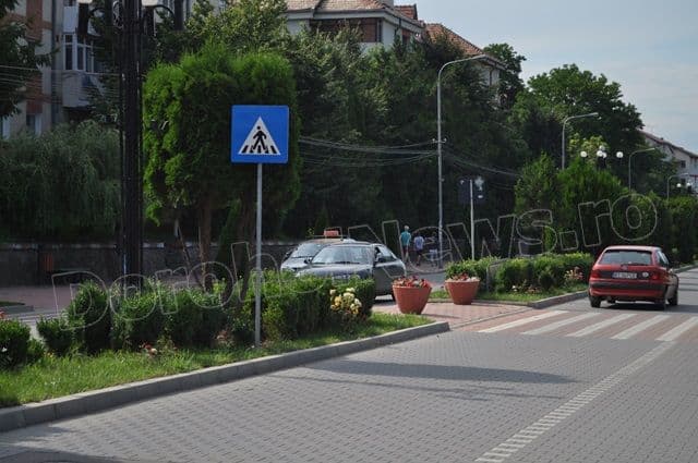 Copacei cosmetizati la Dorohoi_01