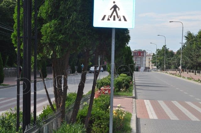 Copacei cosmetizati la Dorohoi_02