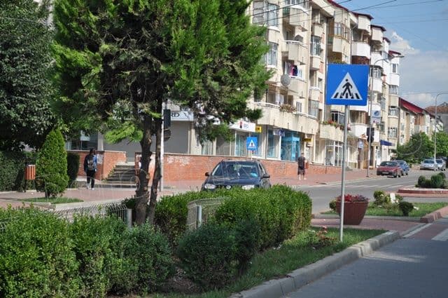 Copacei cosmetizati la Dorohoi_09