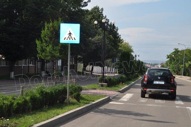 Copacei cosmetizati la Dorohoi_11