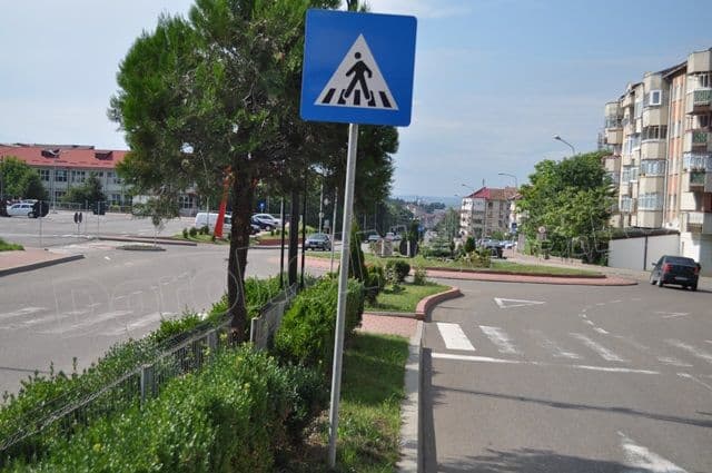 Copacei cosmetizati la Dorohoi_12