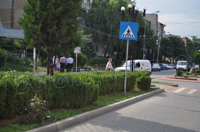 Copacei cosmetizati la Dorohoi_15