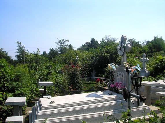 Foto 02