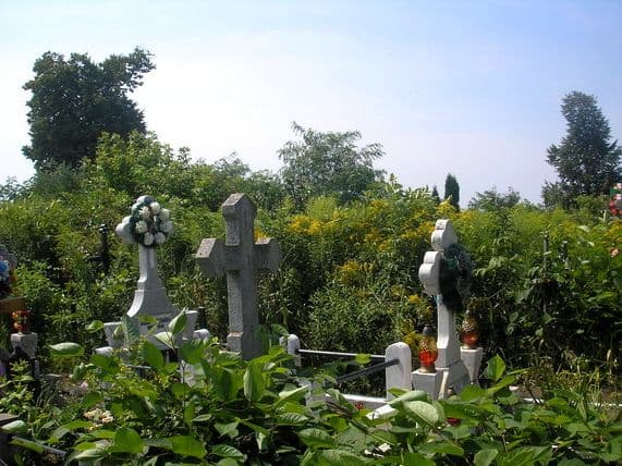 Foto 05