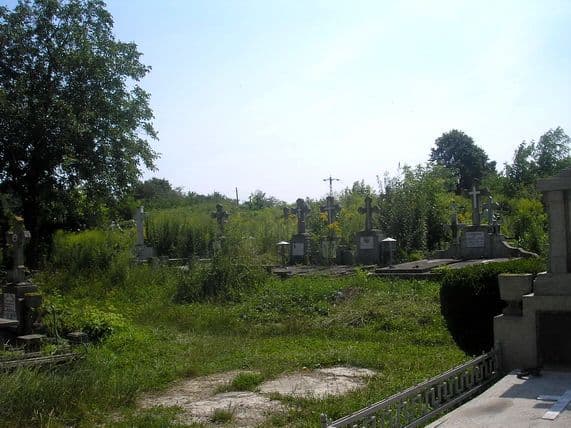 Foto 06